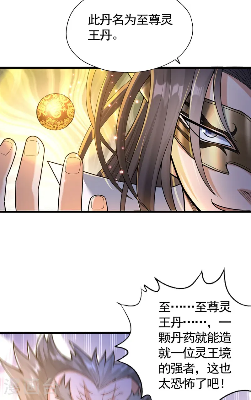 第419话 这是…至尊灵王丹！13