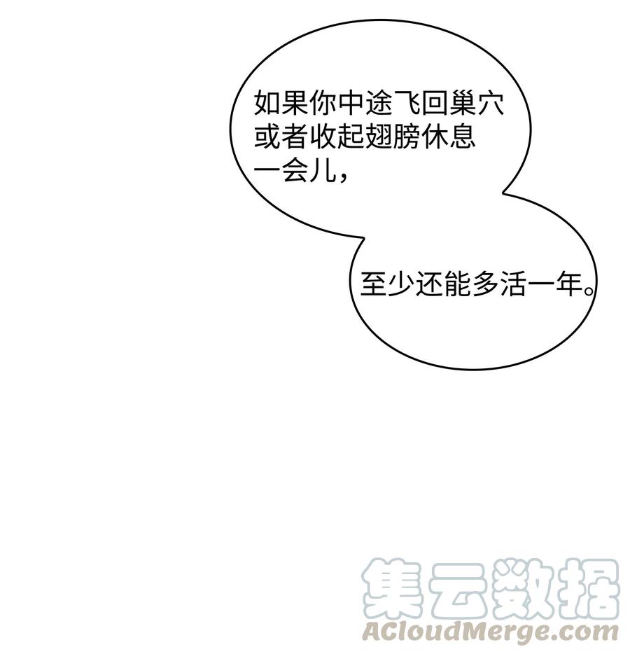 25 混沌的勇士36