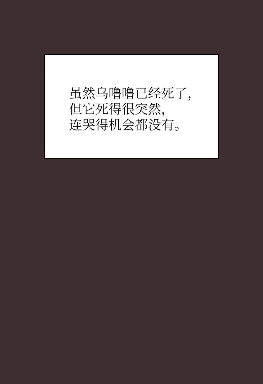 54 我做到了！53