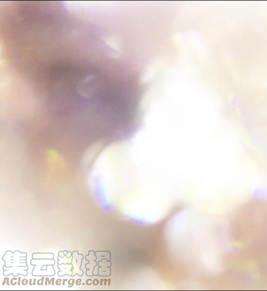 92 过目不忘15