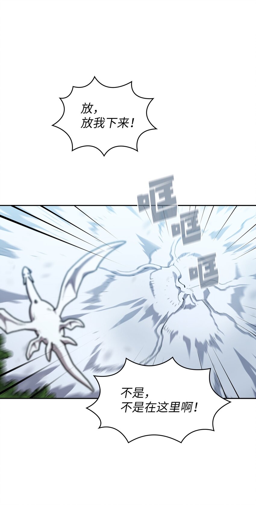 110雪王27