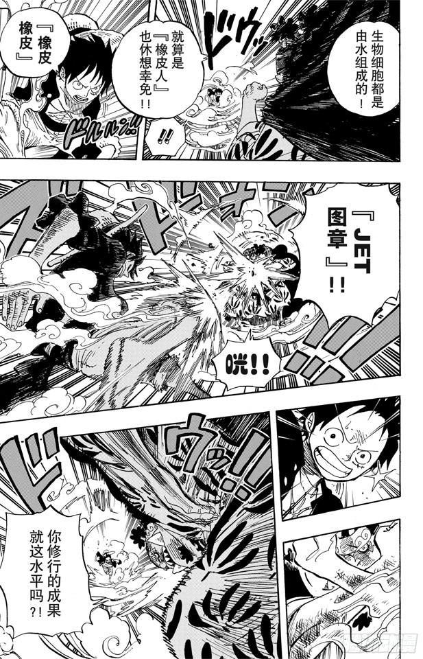 第629话 阻挡在面前的原七武海4