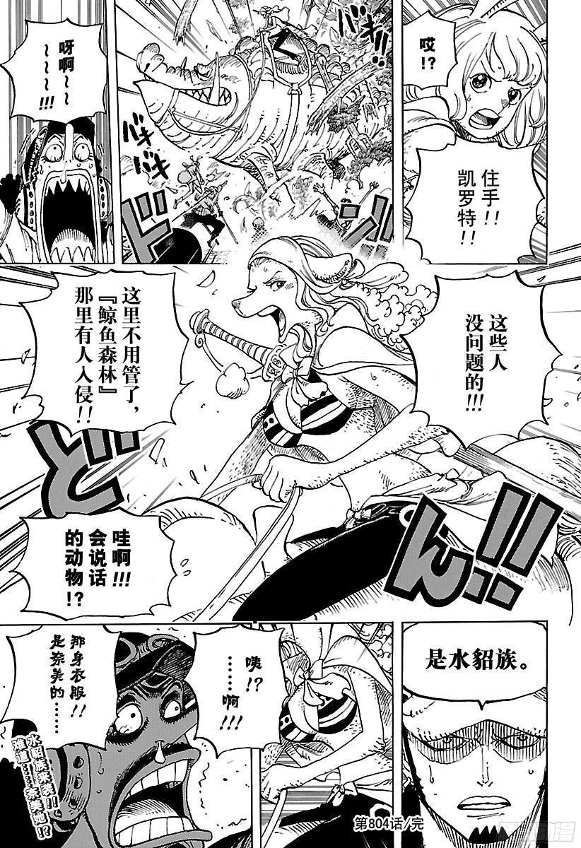 第804话 象背之国的冒险16