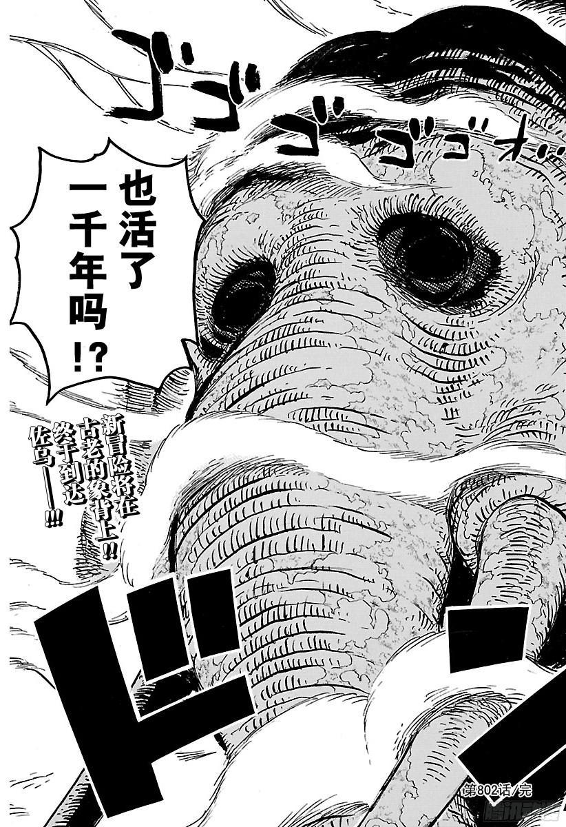 第802话 佐乌17