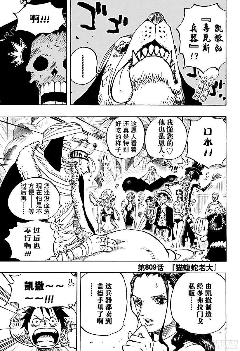第809话 猫蝮蛇老大2
