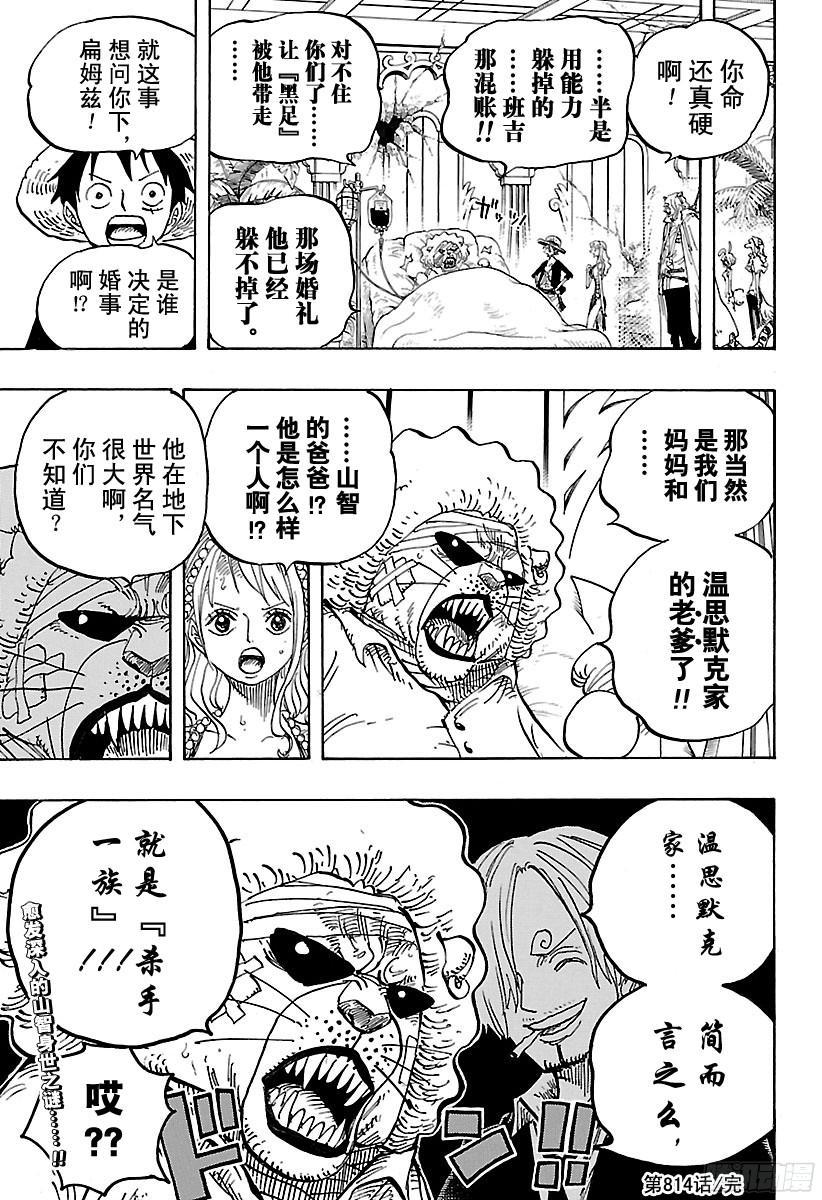 第814话 见猫蝮蛇老大去16