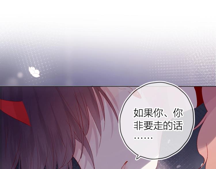 第51话 生日快乐0