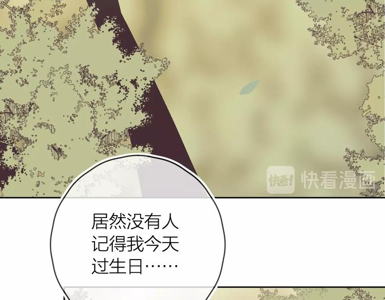 番外 被遗忘的生日12