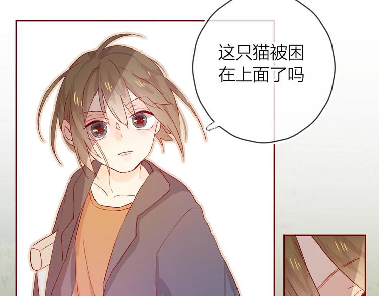 番外2 久桃的flag46