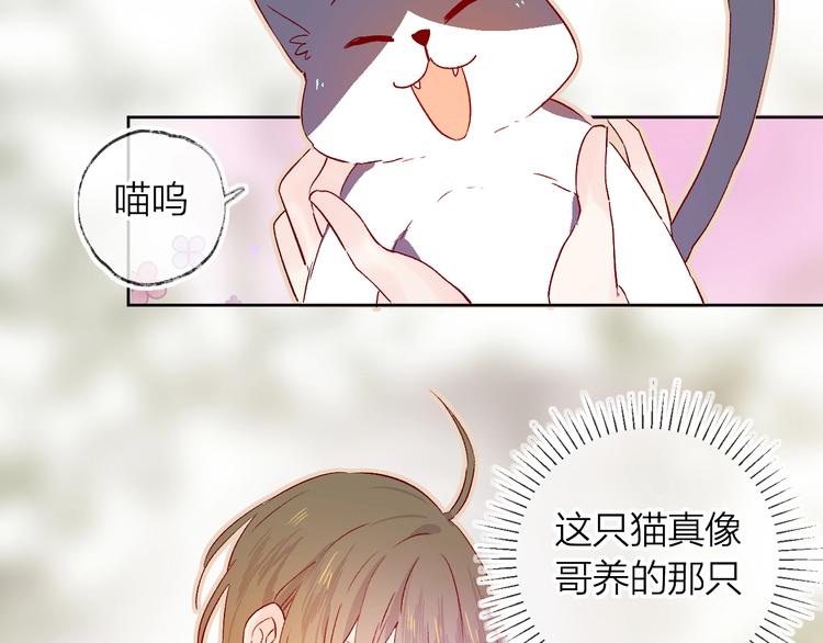 第13话 逆转的感情7