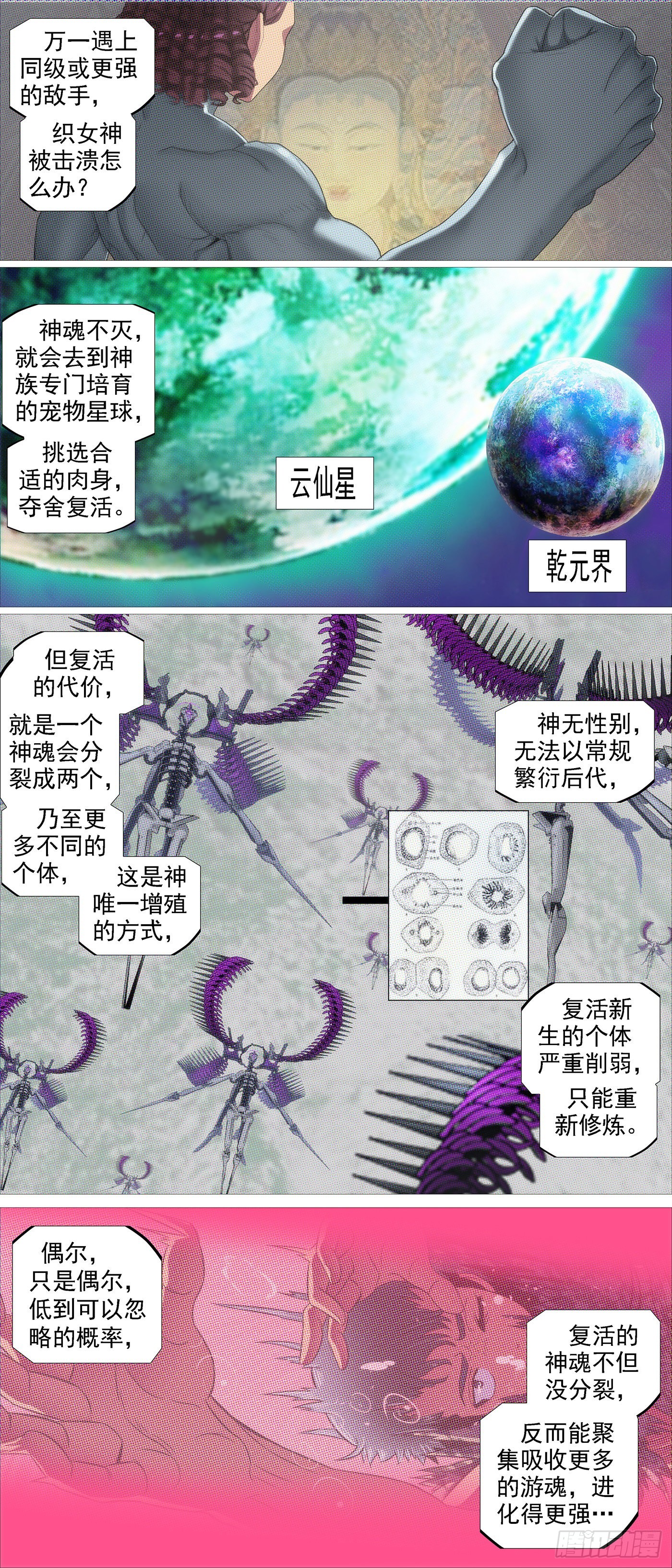 魂级由来1