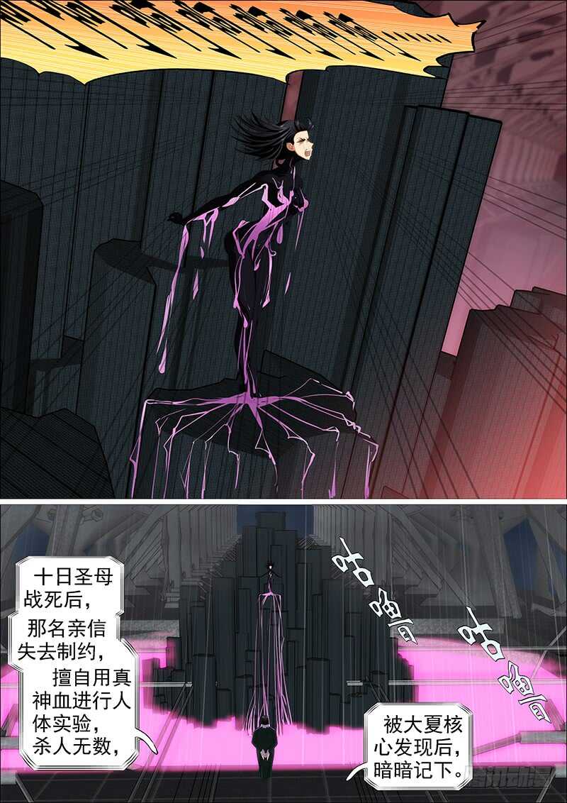 金乌火羽10