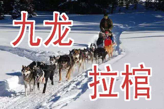 慕小炮13