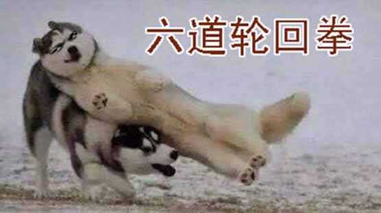 巨鲲要吃恶龙14