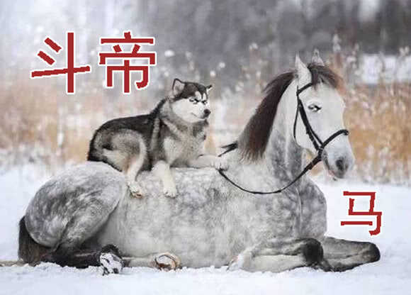 你不是我的学生该多好15