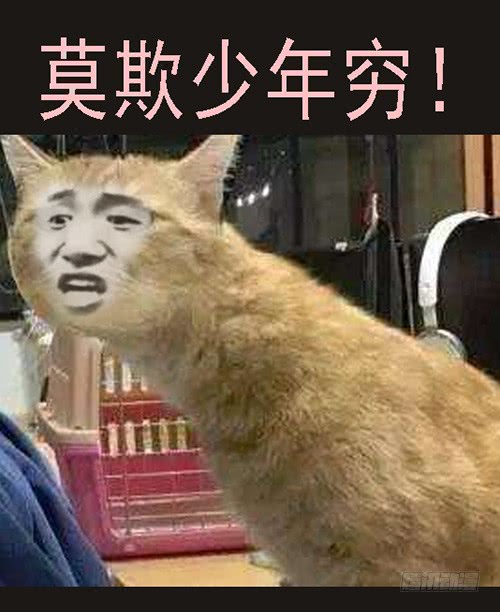御林军13