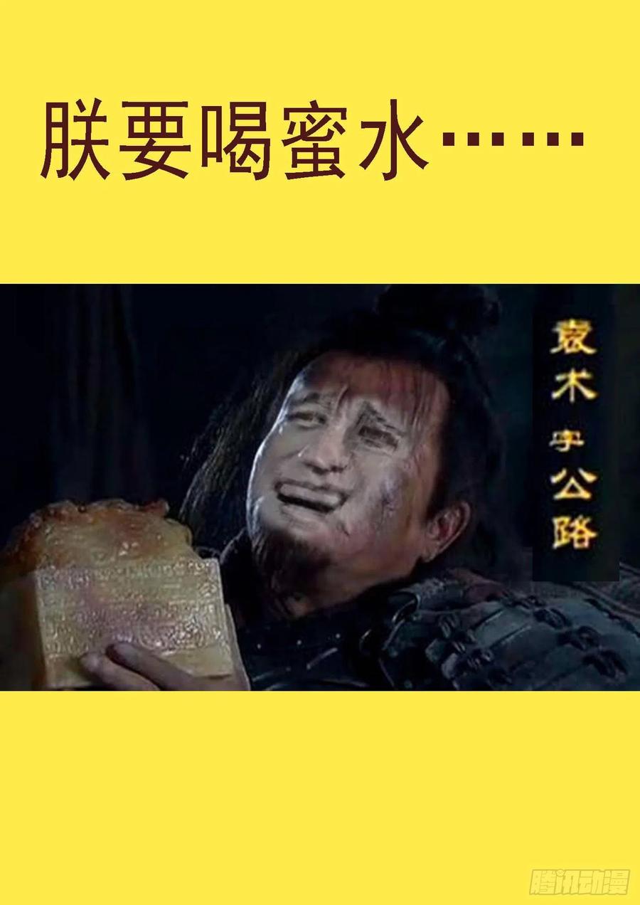 大夏是联盟？11