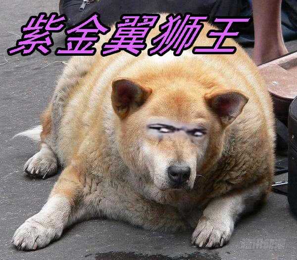 不该出手不出手15