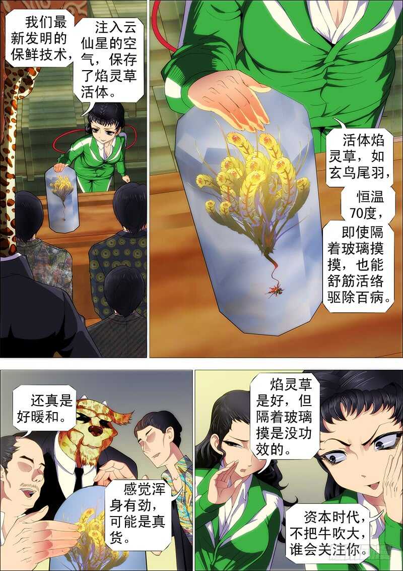 掉毛金乌不如鸡2