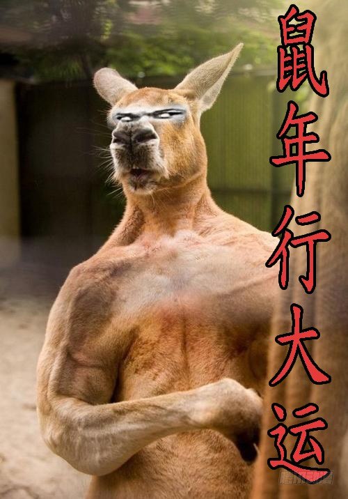 新年公告3