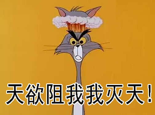 社会神15