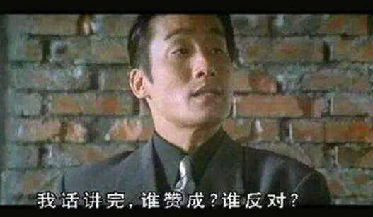 谁赞成，谁反对12