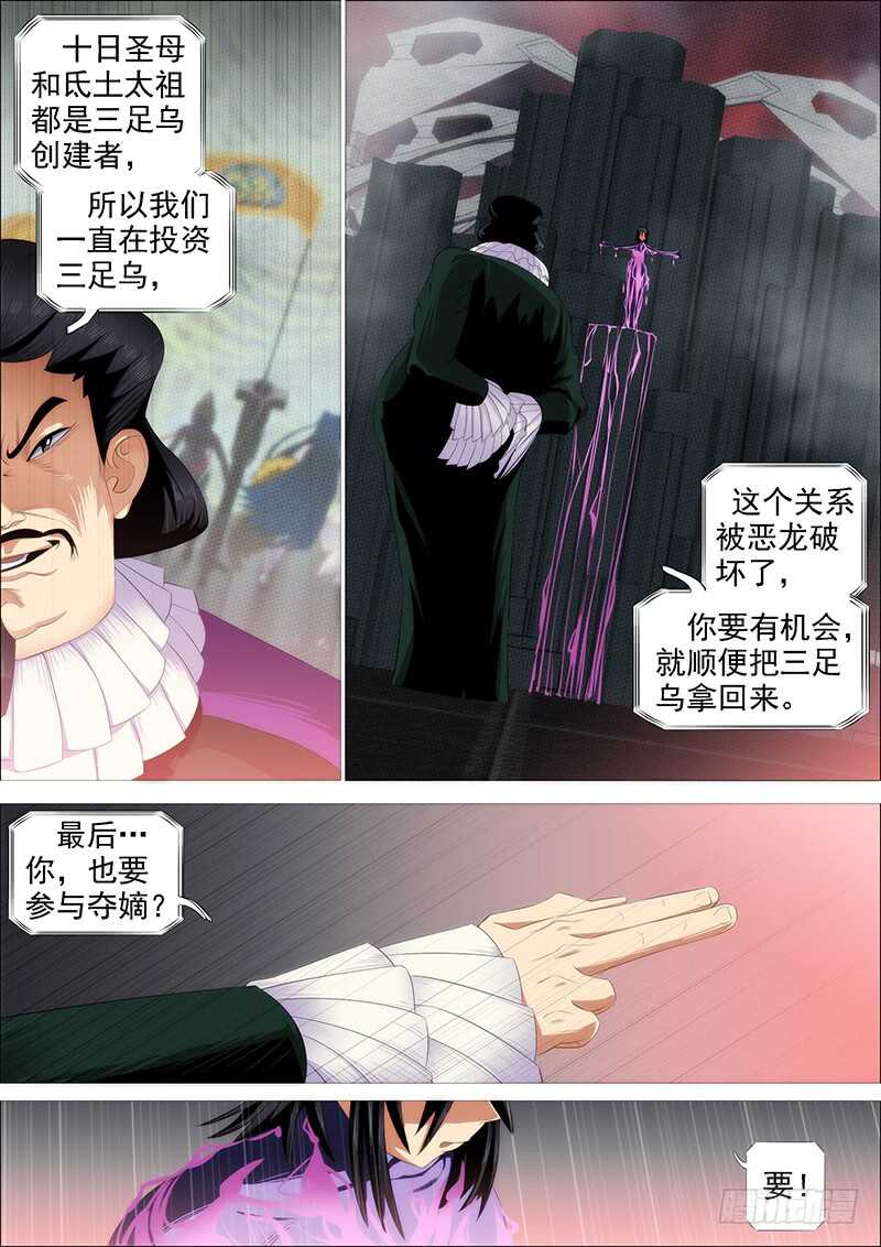 金乌火羽14
