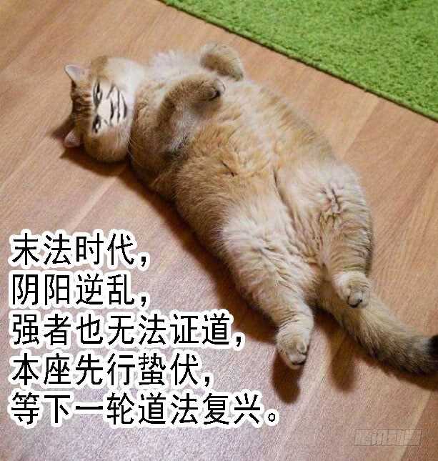 江山依旧15