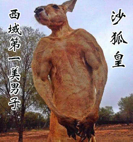 下一站，文曲王朝10