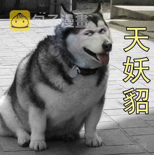 慕总管、慕同学14