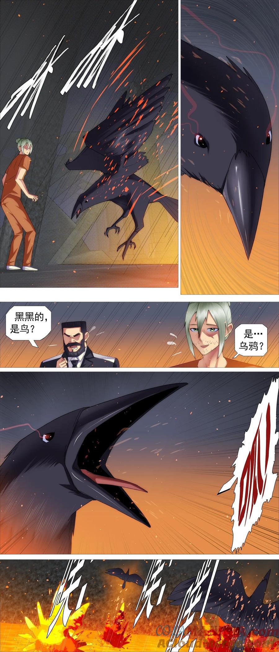 熔岩火鸦6
