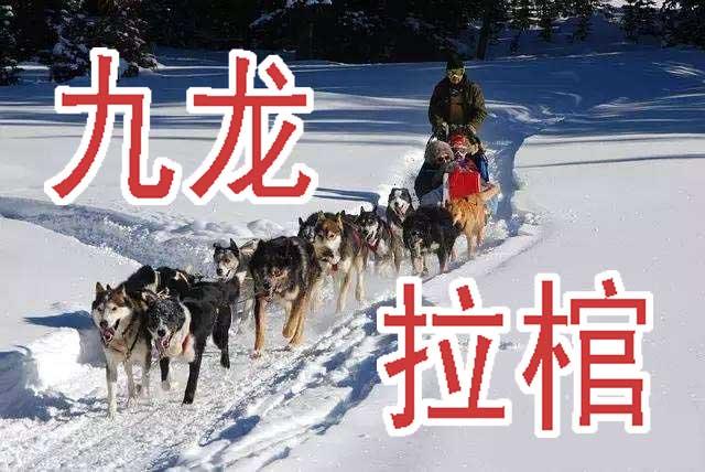 周五六七连更3