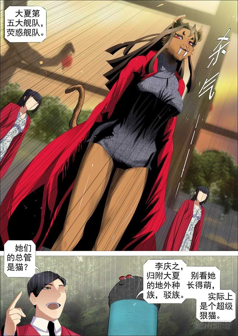 见龙卸甲5