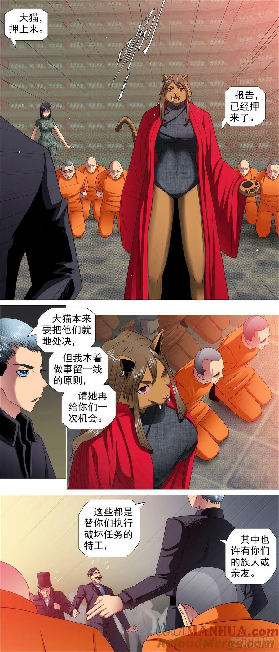 我很宽容5