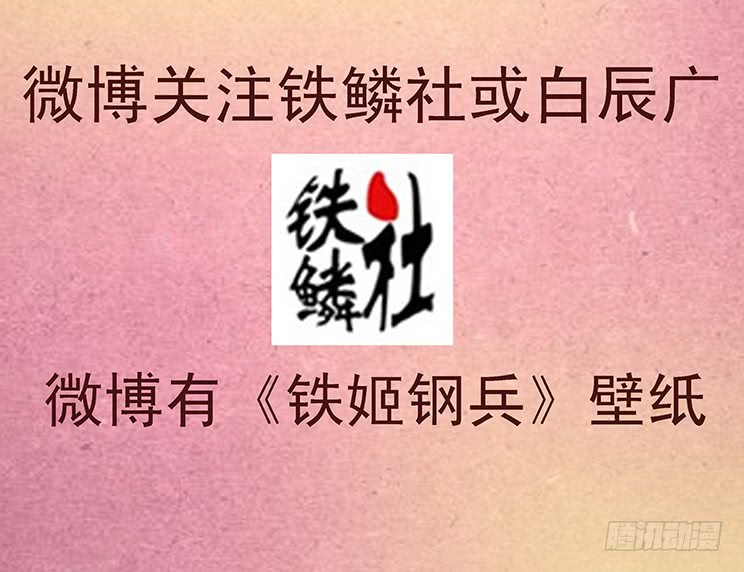 极道之妻16