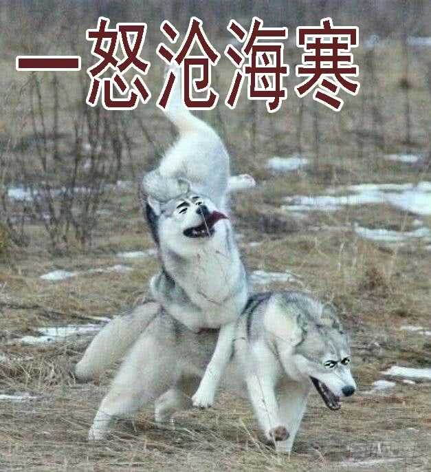 恶龙已死，唯我最强15