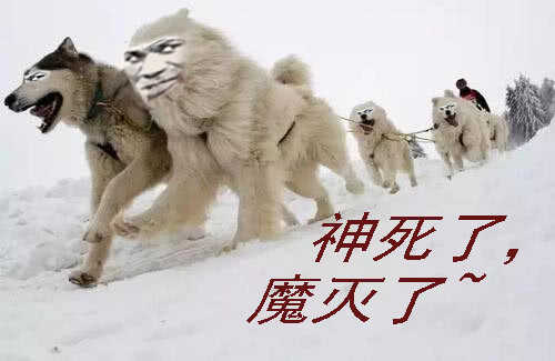 熊姐潜力多深？13