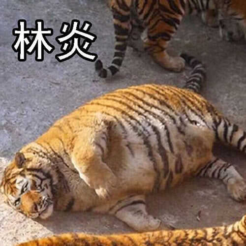 我追你~15