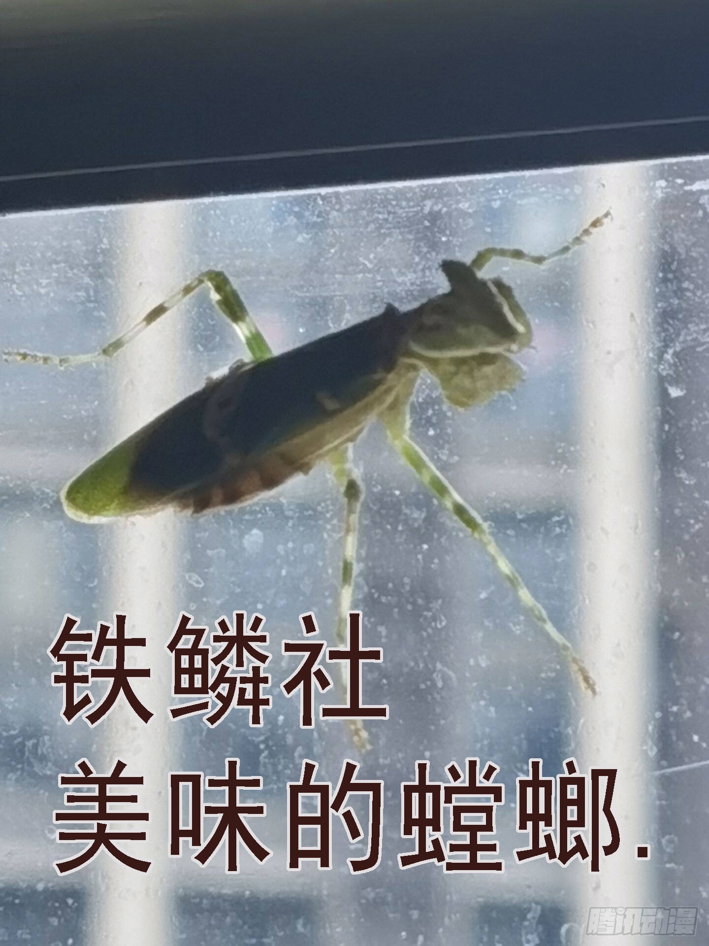你的灵魂11