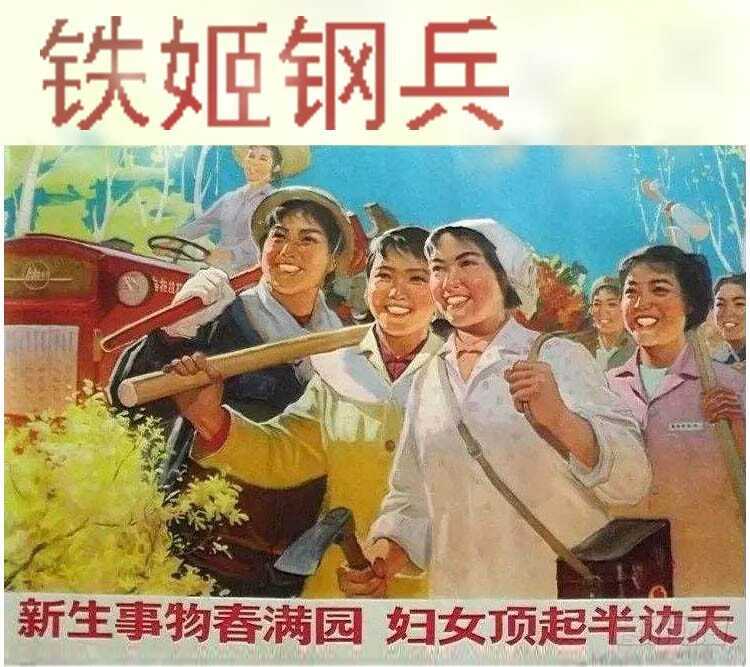 老师，跟我回舰队14