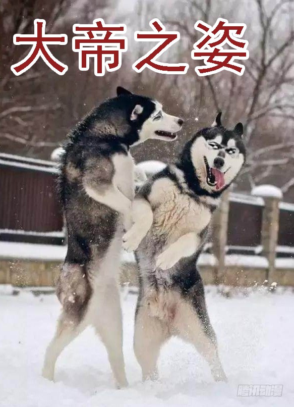 恶龙密谋14