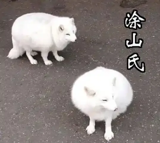 友好问候10