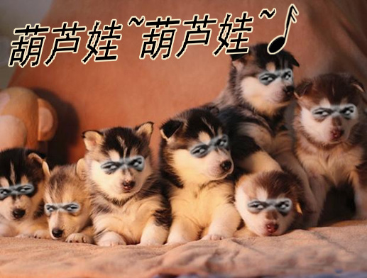 葫芦娃也没我多14