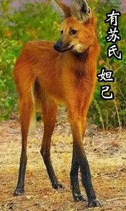 对不起我错了11