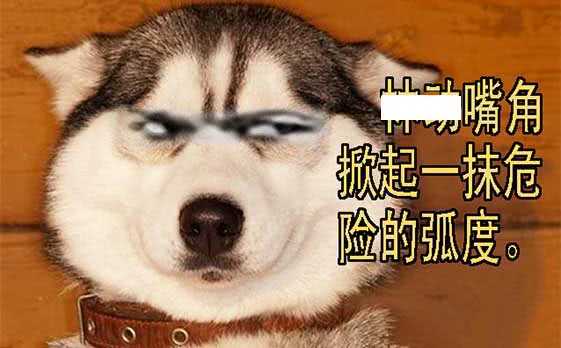 索命也要讲道理15