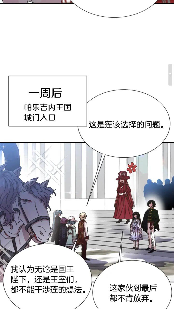 第95话 萌宠上线55
