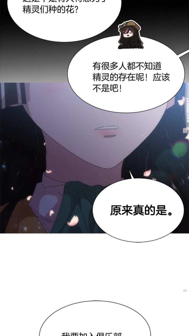 第96话 16岁的学院精灵54