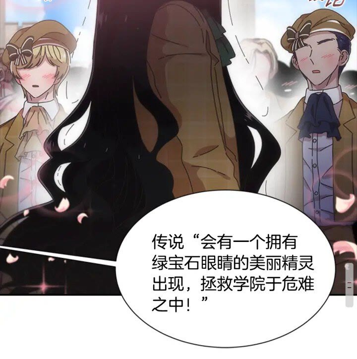 第95话 萌宠上线78