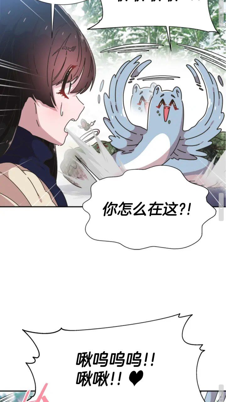 第95话 萌宠上线30