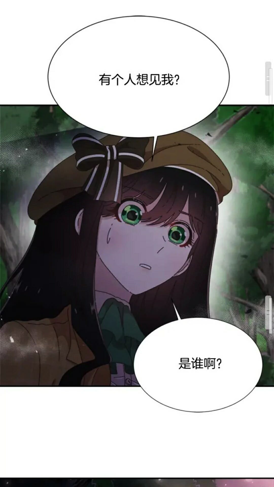 第98话 精灵大作战55
